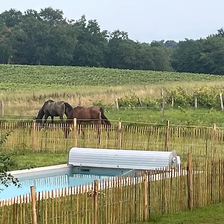 Domaine De Rebert Monguilhem