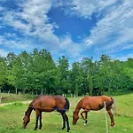 Homestay Domaine De Rebert Monguilhem